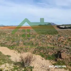 Un terrain agricole de 5,5 hectares situé à Mornag