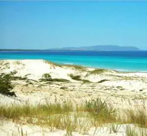 Vente de terrain au bord de la plage de kerkouane 