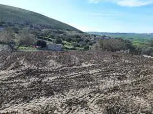 terrain titré a bizerte