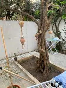 A louer à la marsa plage un petit duplex meublé avec deux terrasses 