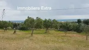 campagne a Dharoufa avec vue de mer dégagé