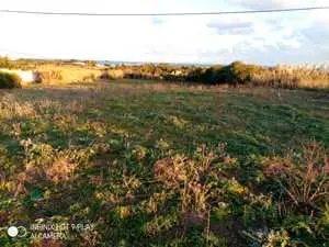 terrain a vendre a Haouria 10 minutes de la plage superficie 200 Mètre