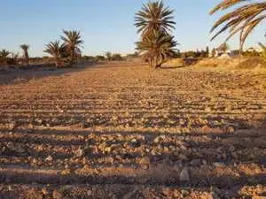 Terrain à Djerba