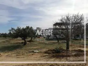  un terrain de forme carrée situé à Kharouba Hammamet nord à coté l’école libyen