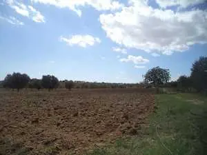 terrain de 6200m² à Monchar-hammamet 90698407