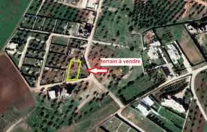 1000 m2 à proximité de Tunis City Géant et Cebalet Ben Ammar