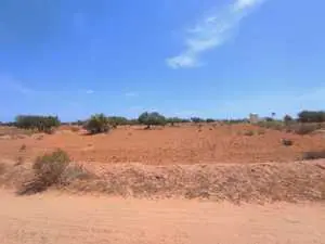 Terrain d'habitation dans un coin très calme à vendre sur l'ile de Djerba