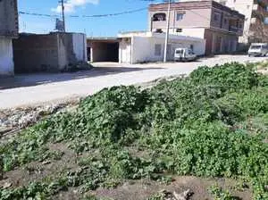 terrain sur la route a bizerte