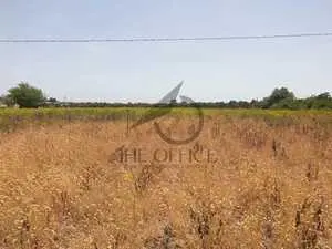 A vendre terrain agricole à Soliman