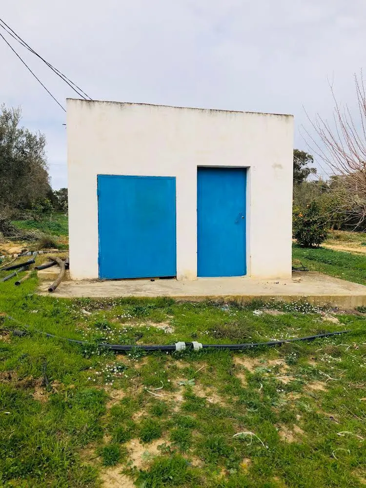 Ferme 5 hectares à nabeul 