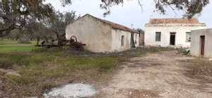 zaghouan,27hectares dote de 2800pieds d’olivier avec uneferme française ancienne