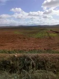 Terrain de 18 hectares boucha Zaghouan 