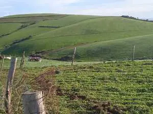 Terrain de 3175m2 ras jbel 