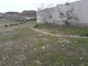 Terrain 250m a 28MD à hammamet 90698407