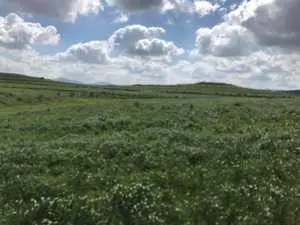 très jolie ferme morneg