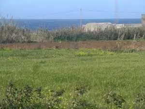 vu panoramique a la plage elhawaria zembra et zembreta