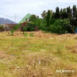 Un terrain agricole de 1000m² situé à El Haouamed Mornag 