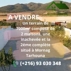 Un terrain de 7000m² composé de 2 maisons,une inachvée à Mornag