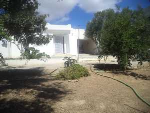 maison 600m² à hammamet sud 99202001