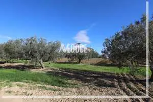 terrain situé à Besbasia Hammamet dans une zone calme bien demandée