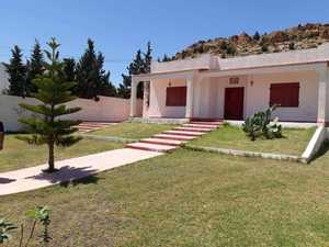 villa avec piscine hammamet