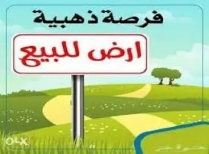 الماثلين طريق راس انجلة بنزرت تونس