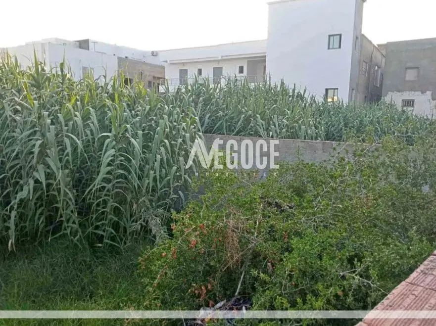 A vendre un terrain constructible à Soukra