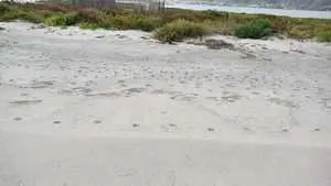 أرض للبيع في شاطئ كوكو بيتش بغارملح