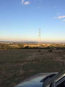 A VENDRE 2HECTARES PLANTÉS OLIVIERS À BELLI GARE -GROMBALIA