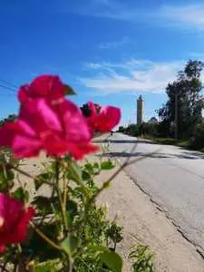 des terrains à Yasmine Hammamet 