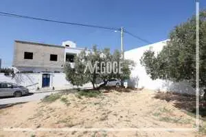  un terrain de forme carrée situé à Kharouba Hammamet nord à 1 km de la plage