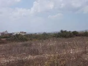 Terrain Maamoura front de mer