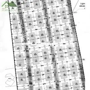 Lots de terrains viabilisés à Soliman