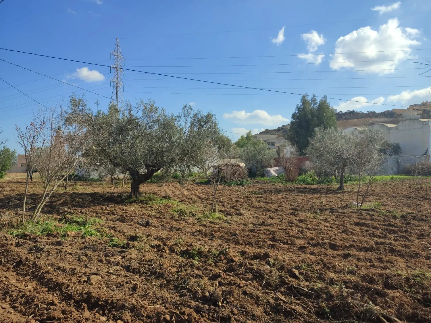 Terrain à vendre à Hammamet ( el monchar ville ) 