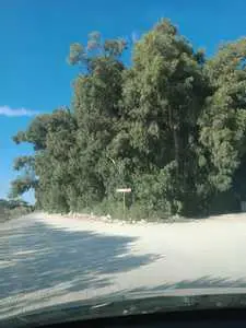 Terrain au coin sur la route à kerkouane plage sable blanc ☎ 29.232.582