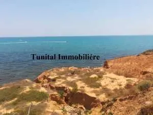 Cap Gammarth : A vendre terrain front mer