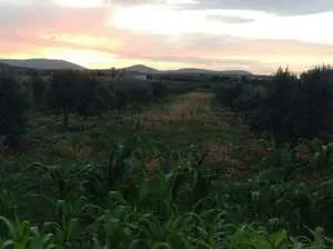 ferme agricole 12 hectares