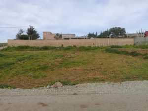 Terrain a oued ellil a vendre ,530m².