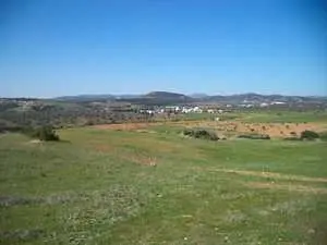 terrain agricole de 28400m titre bleu à hammamet 90698407