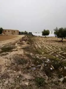 60000 dt قطعة أرض للبيع في جربة طريق سيدي جمور / terrain à vendre à djerba 