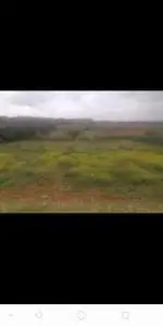 أرض للبيع،terrain agricole à vendre، agricultural land for sale