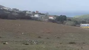 terrain ain berda العين ااباردة