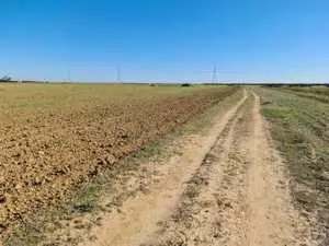 A VENDRE TERRAIN AGRICOLE 6.5 HECTAR À DAR BELWA3R ENFIDHA