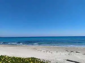 Terrain à vendre pieds dans l'eau à dar allouche