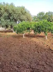 À Vendre un Terrain + local,bien placé à Béjou Ghar El Milh Bizerte 