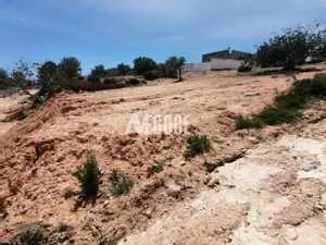 un terrain à cité romaine 