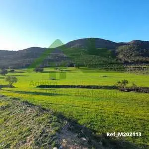 Un terrain agricole de 7 hectares situé à Mornag 