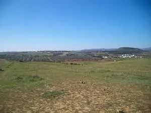 Terrain agricole 28400m titre bleu à hammamet 99202001