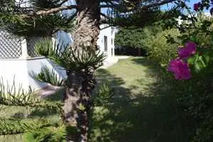 Villa S+3 semi-meublée à hammamet Sud 