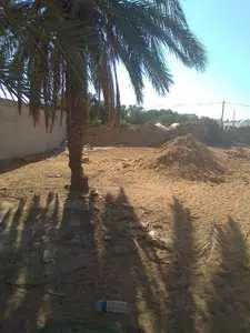 terrain Djerba